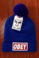 /album/gorros-obey-15EUR-unidad-calidad-aaa-/obey-beanie-071-jpg/