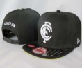 /album/snapbacks-nfl-15-unidad-calidad-aaa-/afl-snapback-004-jpg/