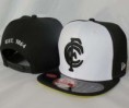 /album/snapbacks-nfl-15-unidad-calidad-aaa-/afl-snapback-005-jpg/