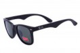 /album/gafas-de-sol-ray-ban-15EUR-unidad-calidad-aaa-/rayban1a-434pt-jpg/